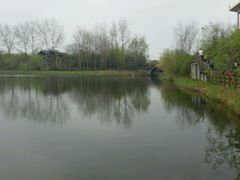 android_upload_pic-溱湖国家湿地公园