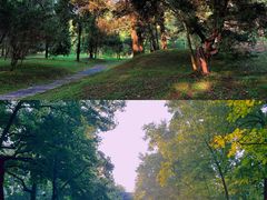 -杭州植物园