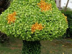 -美林湖温泉别墅度假村