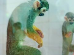 -乐和乐都主题乐园