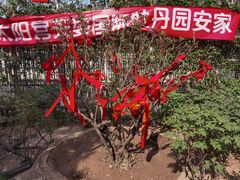 -太阳宫公园