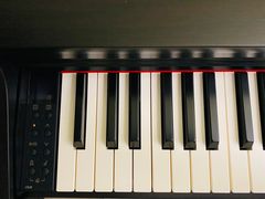 -柏斯音乐艺术中心·钢琴·吉他(世纪金源店)