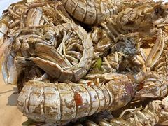 -渔民船说·北塘海鲜·天津菜·海肠捞饭(北塘古镇店)