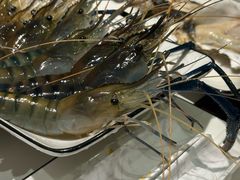 -Thai Basil罗勒叶泰式餐厅(时代天街店)