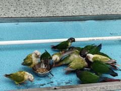 -昆明动物园
