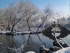 -紫竹院公园冰场