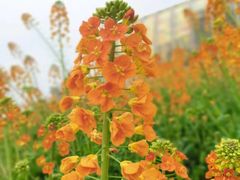 -中国天府农业博览园