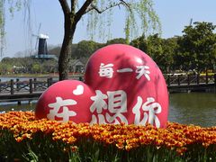 -上海鲜花港