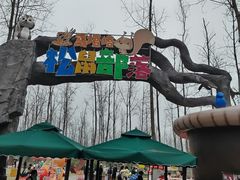 -合肥滨湖国家森林公园