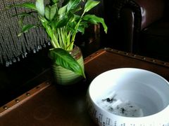 -张博士茗茶馆(外滩店)