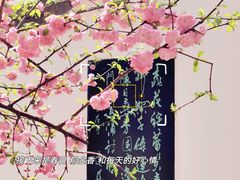 -桃花堤公园