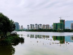 -飞来湖湿地公园