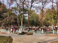 -赭山公园