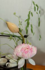 -圣贝拉母婴护理中心(深圳莱佛士店)