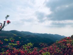 -大围山国家森林公园