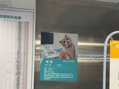 -伟伟宠物医院·CT影像中心·瑞派犬猫综合性门诊(汉口总院)
