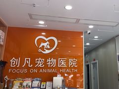 -创凡宠物医院·骨专科  猫科中心(西乡分院)