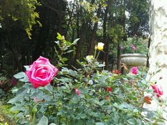 -人民公园(罗湖区)