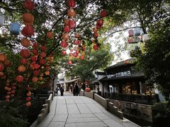 -西溪国家湿地公园