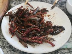 -夏家大锅台炖鱼馆