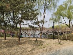 -古塔公园