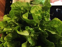 -燚青春东北泥炉烤肉(百合店)