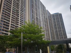 -一煲鸽