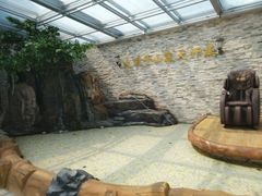 -大顶子山温泉旅游区