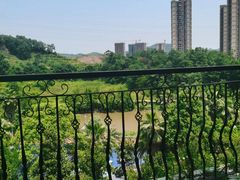 -重庆长寿碧桂园凤悦凤凰酒店