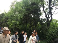 -迎泽公园