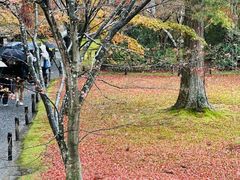 -三千院