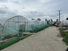 -菊园百果园