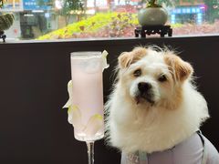 -叁 Three· bistro餐酒馆