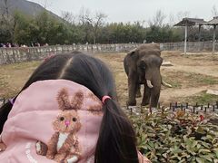 -西安秦岭野生动物园