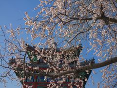 -颐和园