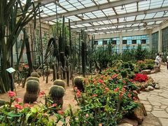 -石家庄市植物园