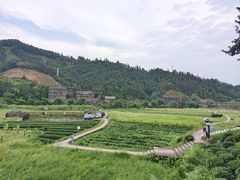 -程阳八寨景区