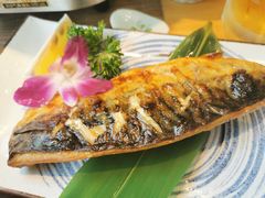 -酒井酱子·深夜食堂(东城汇店)