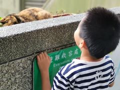 -永康牛肉麵