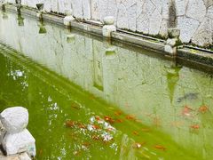 -阳明祠