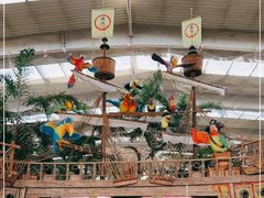 -南宫五洲植物乐园