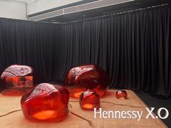 -精绝七日-新疆尼雅遗址数字大展【拉法耶文化艺术中心】