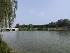 -马家湾湿地公园