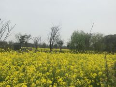 -嘉北郊野公园