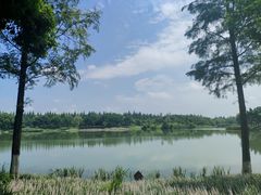 -升仙湖公园