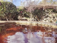-大理地热国