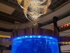 -OPEN開全日自助餐厅·牛肉火锅·海鲜(佛山希尔顿酒店)