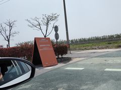 -春花秋色城市公园