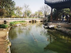 -三里河公园