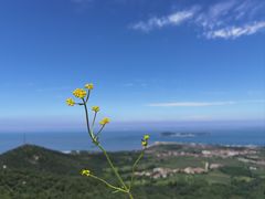 -广鹿岛景区